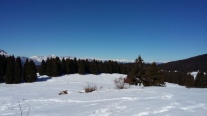 IMG-20170218-WA0005
