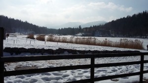 IMG-20170219-WA0001