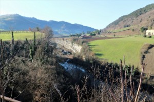 IMG 0437