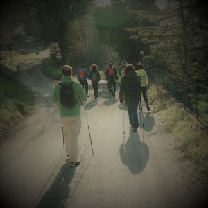 IMG 0438c