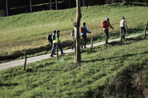 IMG 0441c