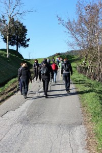 IMG 0443c