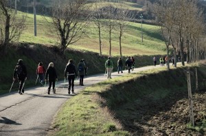 IMG 0446c