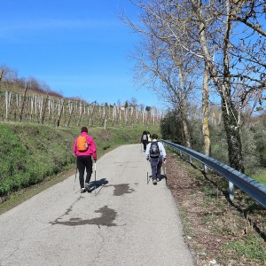 IMG 0449c
