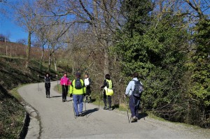 IMG 0452c