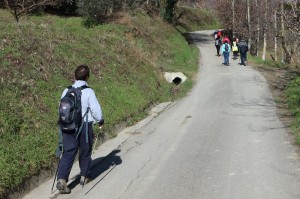 IMG 0454c