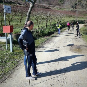 IMG 0455c