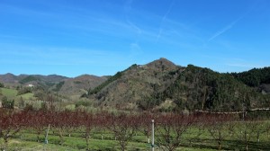 IMG 0456c
