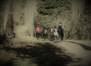 IMG 0459c