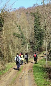IMG 0460c