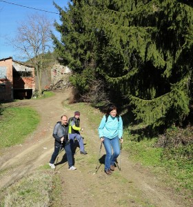 IMG 0461c