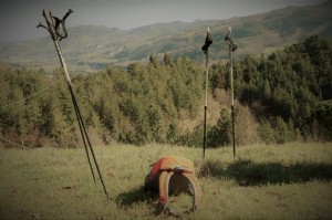 IMG 0470c