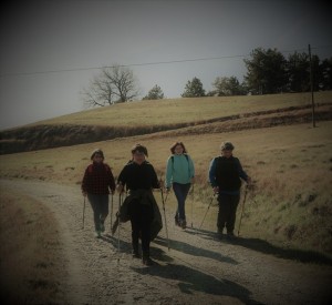 IMG 0477c