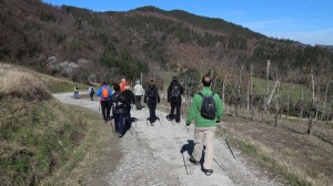 IMG 0478c