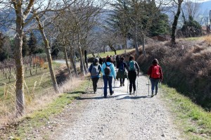 IMG 0483c