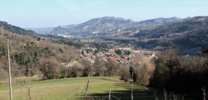 IMG 0484c