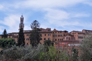 IMG 0709 (FILEminimizer)