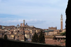 IMG 0733 (FILEminimizer)