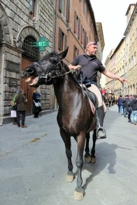 IMG 0750 (FILEminimizer)