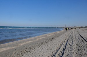 DSCF1656