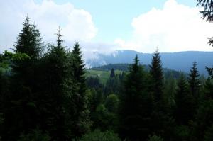 DSCF1879
