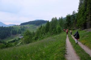 DSCF1884