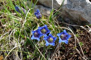 DSCF1933