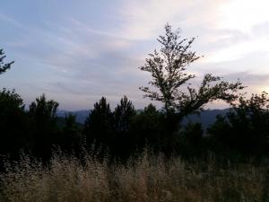 09.IMG-20170708-WA0029