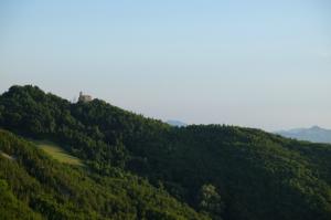 13.DSCF2073