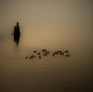 IMG 1761 (FILEminimizer)