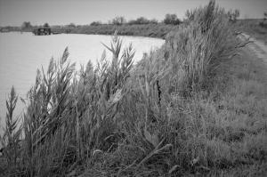 IMG 1767 (FILEminimizer)