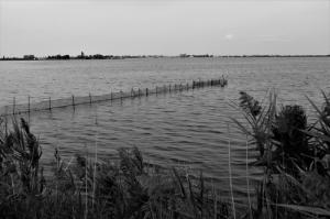 IMG 1768 (FILEminimizer)