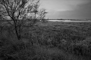 IMG 1793 (FILEminimizer)