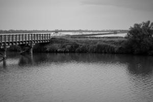 IMG 1797 (FILEminimizer)