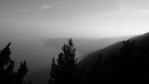 DSCF2766