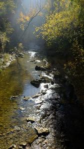 DSCF2858