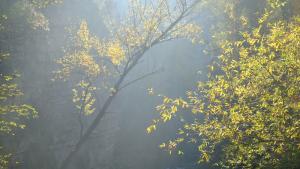 DSCF2859