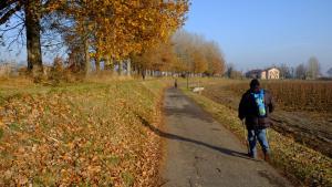 06 DSCF2866
