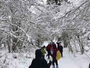 DSCF3146H-WA0022