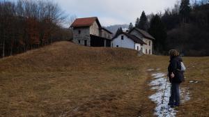 DSCF3245