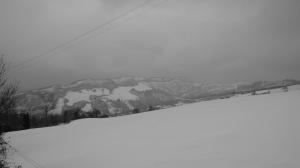 DSCF3297
