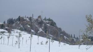DSCF3317