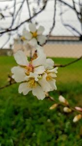 DSCF3329-WA0002