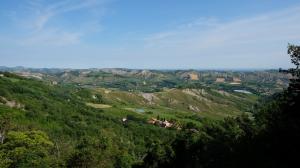 DSCF3560