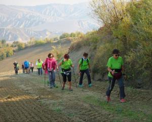 IMG 3085 (FILEminimizer)