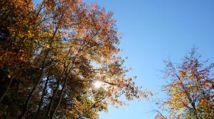 DSCF3861
