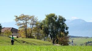 DSCF3880