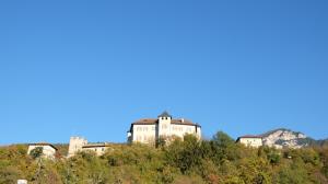 DSCF3909