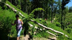 DSCF3457