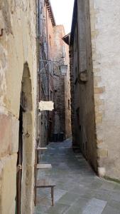 DSCF3554
